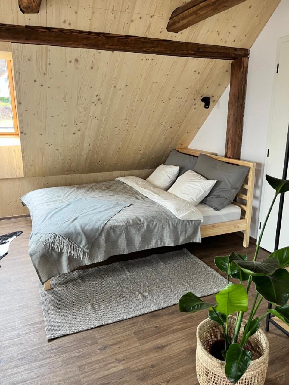 Sanky Apartmany Reichenberg Exterior foto